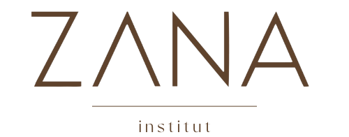 logo-zana-institut